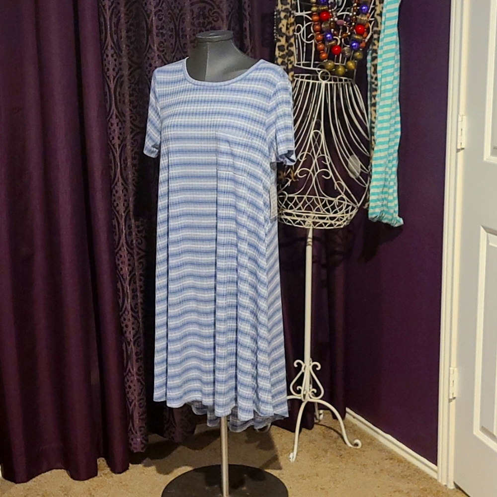 LuLaRoe Carly Blue and White Striped Dress size L